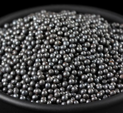 mua-hat-phun-bi-o-dau-tphcm